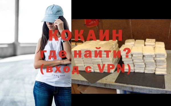 дживик Сосновый Бор