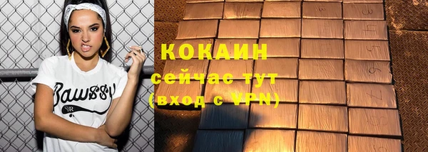 дживик Сосновый Бор
